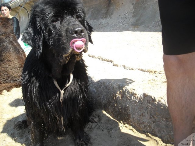 Фотография № 50564