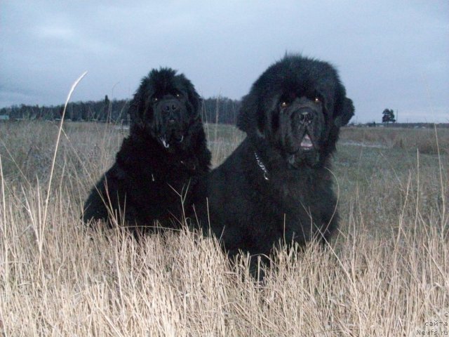 Фотография № 50604