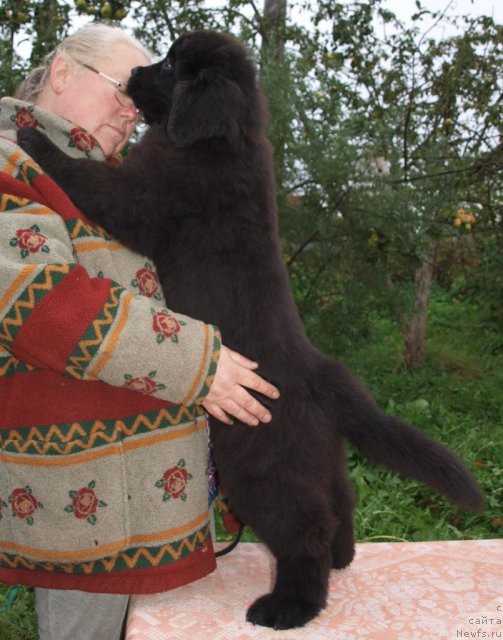 Фотография № 50664