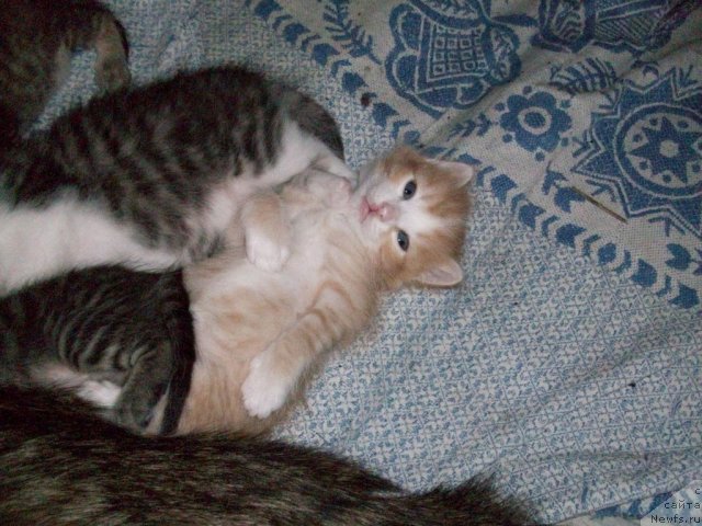 Фото: Наталья Бережнева