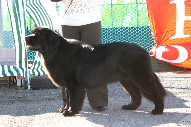 Фотография № 50679