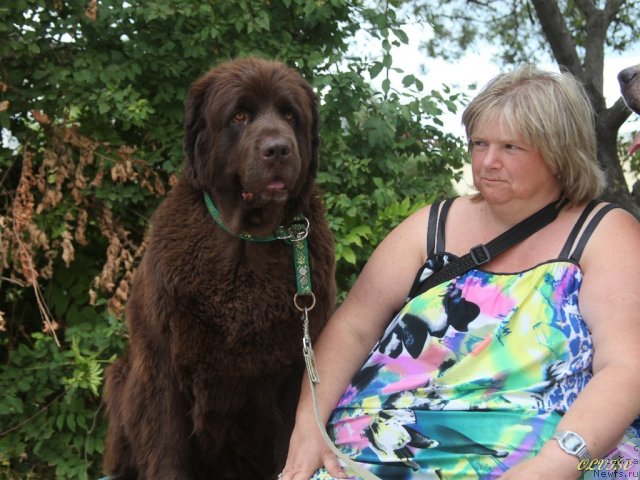 Фотография № 50737