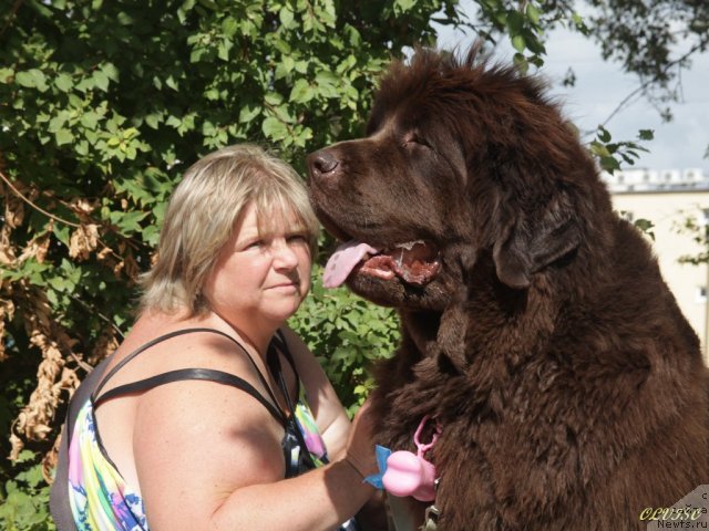 Фотография № 50740