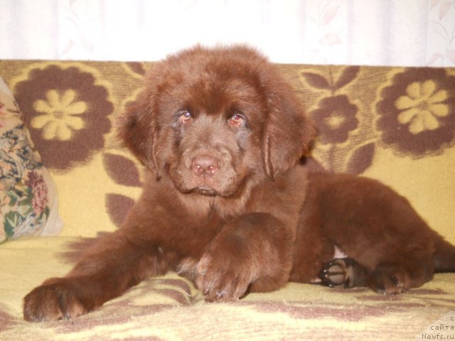 Фотография № 50801