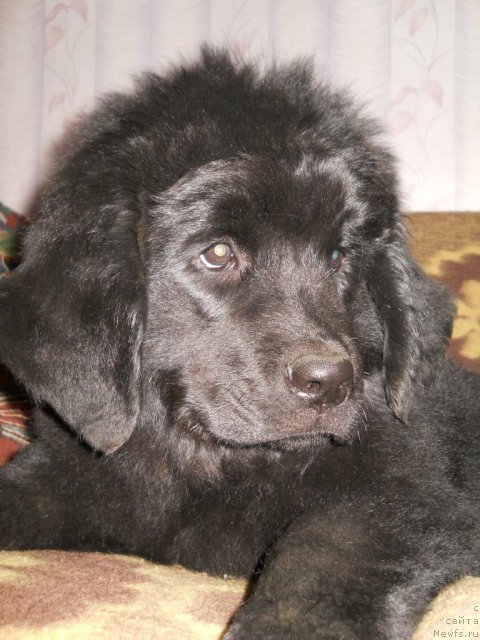 Фотография № 50803