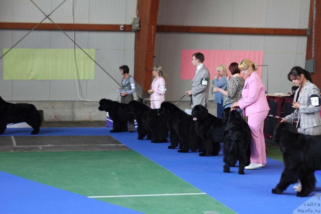 Фотография № 50834