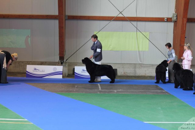 Фотография № 50835