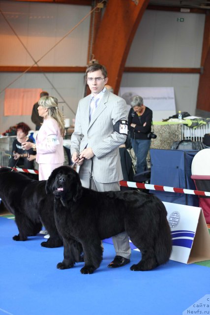 Фотография № 50837