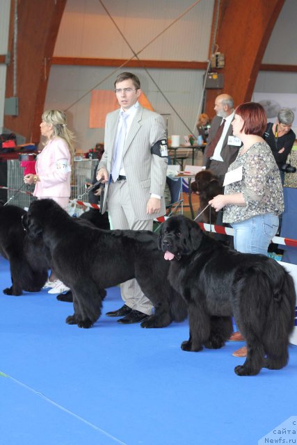 Фотография № 50839