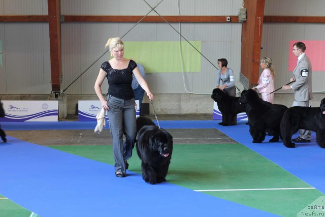 Фотография № 50840