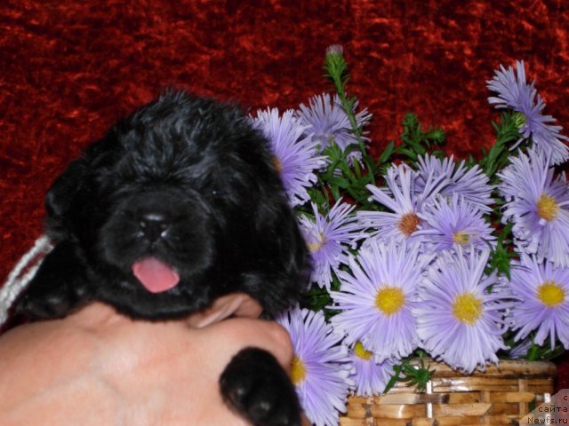 Фотография № 50882