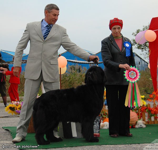 Фотография № 50980