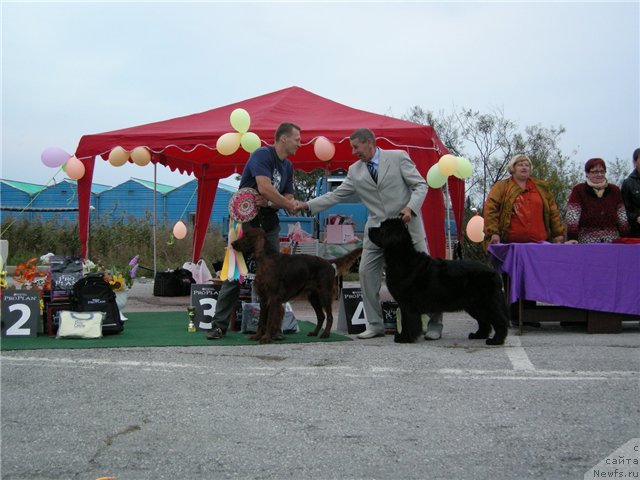 Фотография № 50985