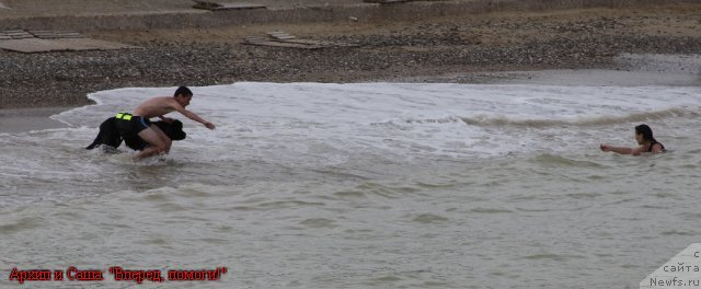 Фото: ньюфаундленд Акватория Келвин Куинджи