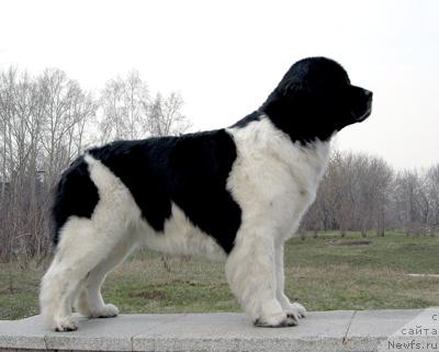 Фотография № 5102