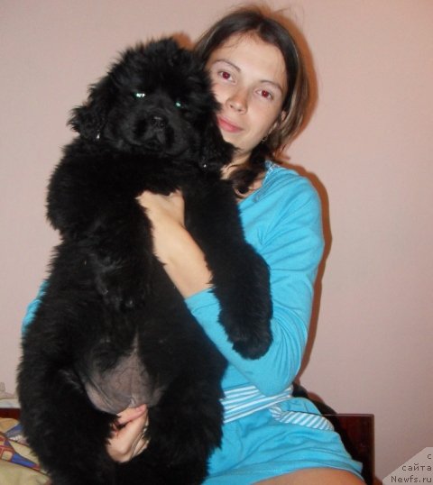 Фотография № 51119