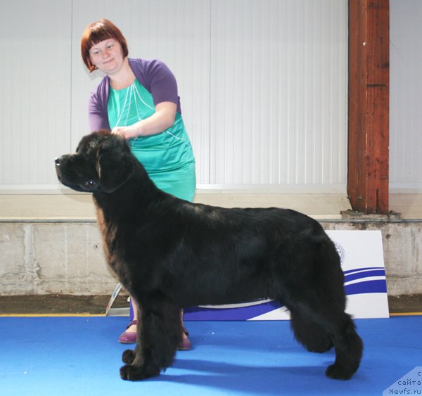 Фотография № 51131