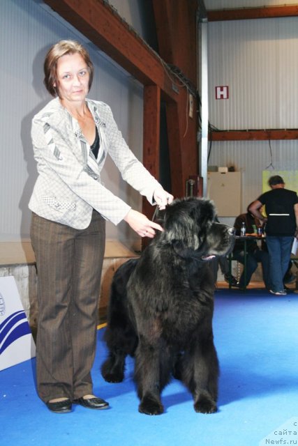 Фотография № 51135