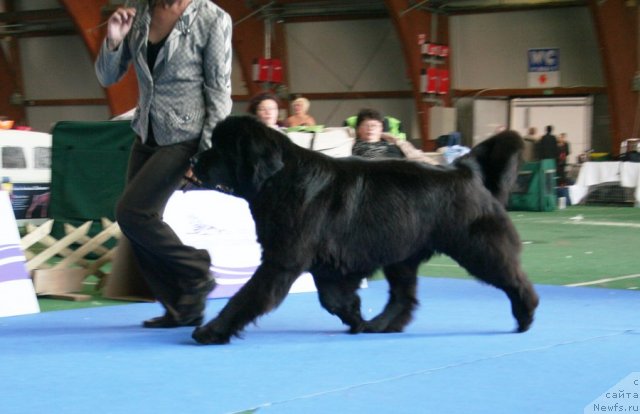 Фотография № 51136