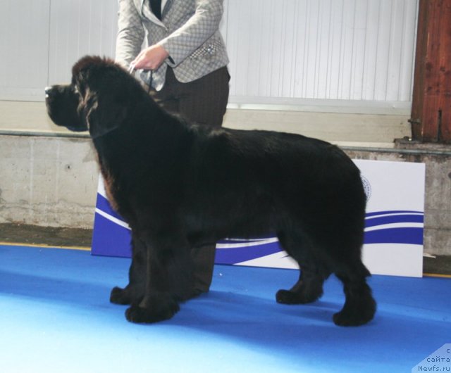 Фотография № 51138