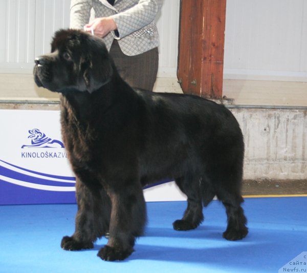 Фотография № 51139