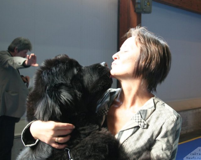 Фотография № 51141