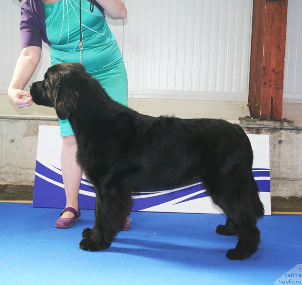 Фотография № 51142