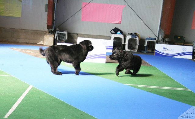 Фотография № 51144