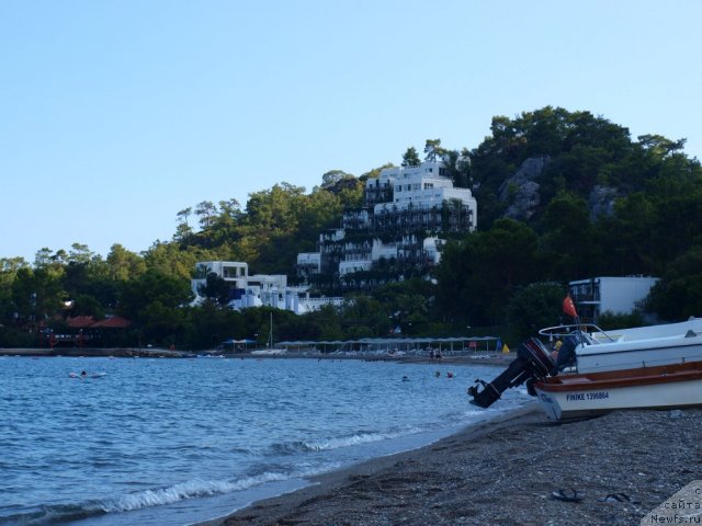 Фото: ньюфаундленд Ю-Питер фром Питер