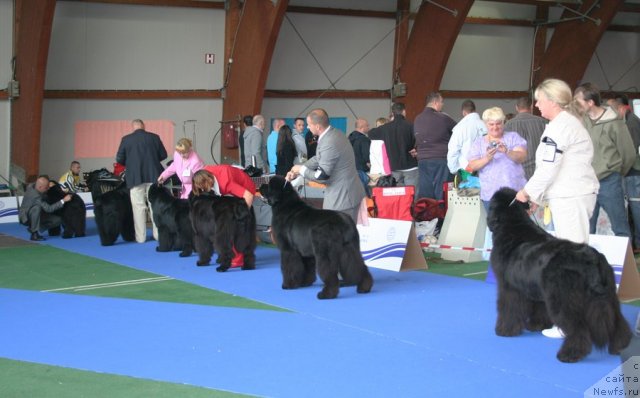 Фотография № 51227