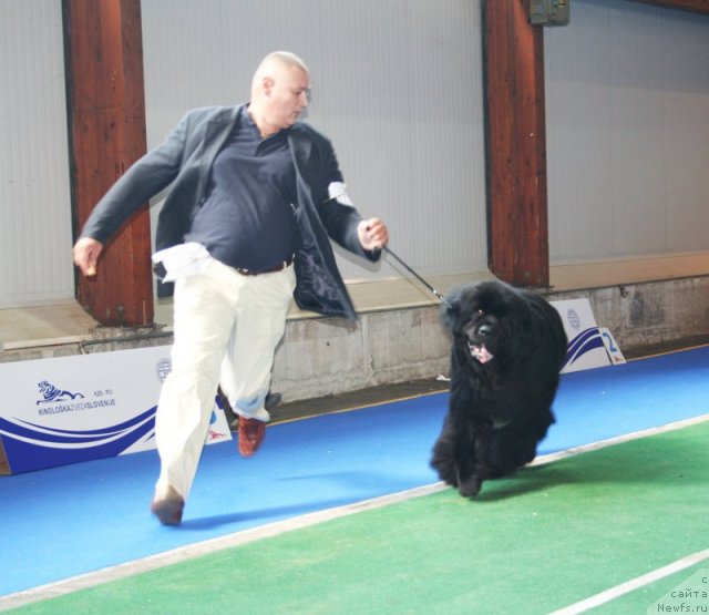 Фотография № 51231