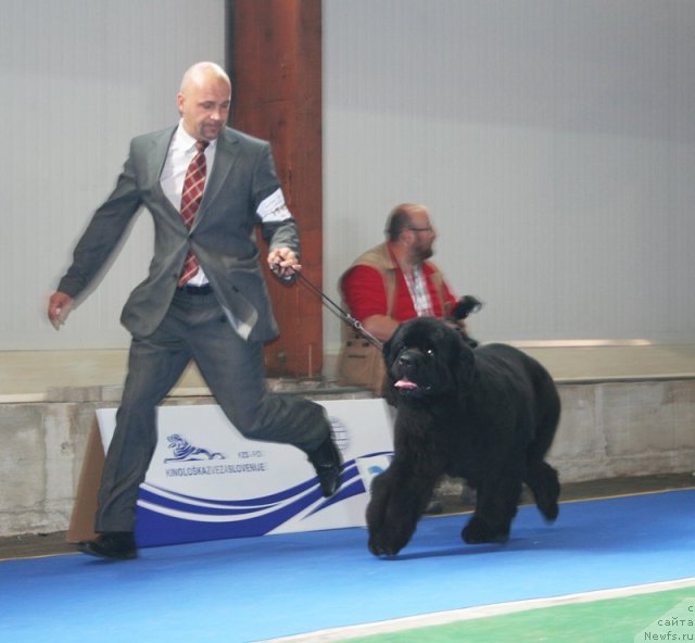 Фотография № 51232