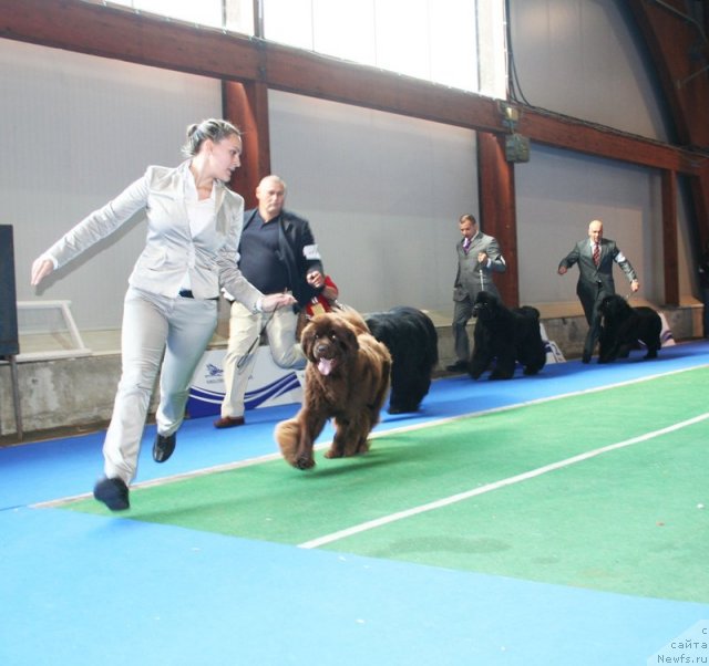 Фотография № 51236