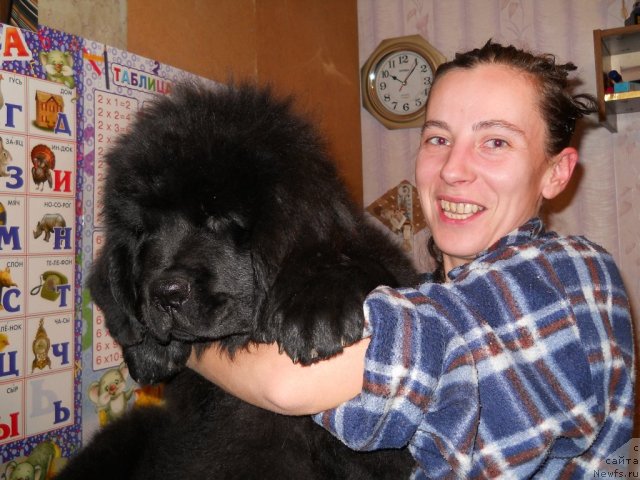 Фотография № 51245