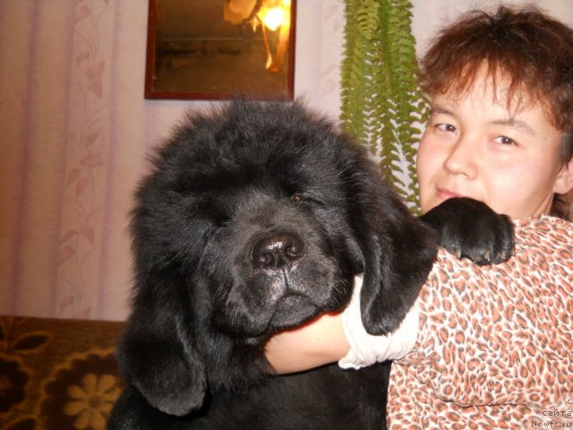 Фотография № 51246