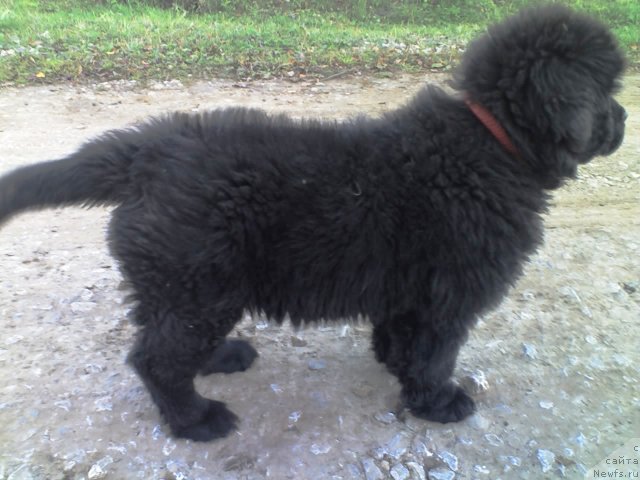 Фотография № 51247