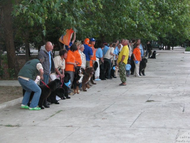 Фотография № 51267