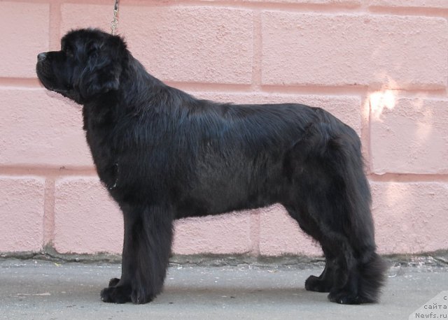 Фотография № 51316