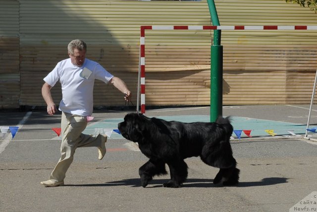 Фотография № 51320