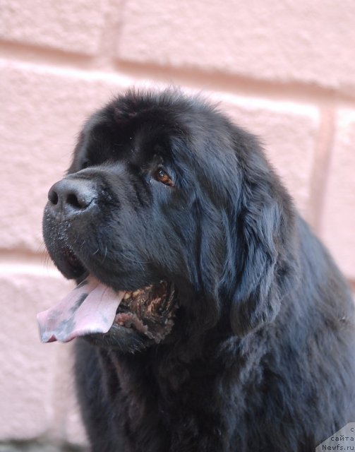 Фотография № 51332