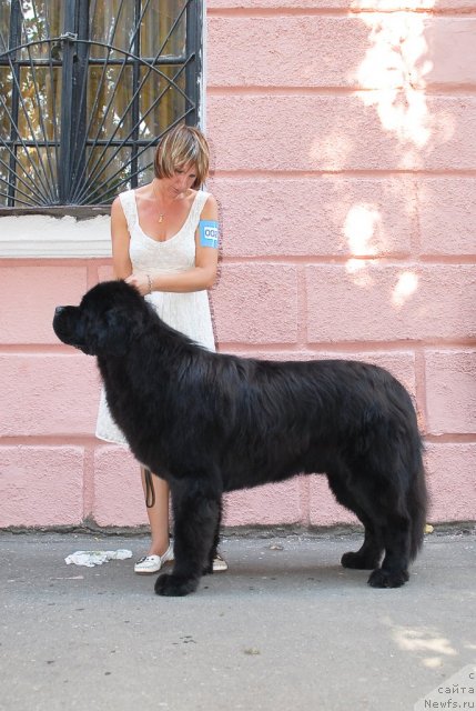 Фотография № 51333