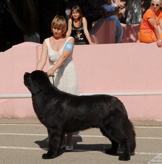 Фотография № 51337