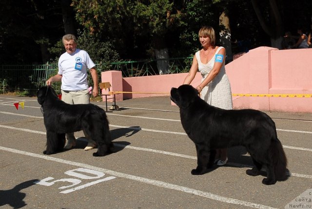 Фотография № 51339