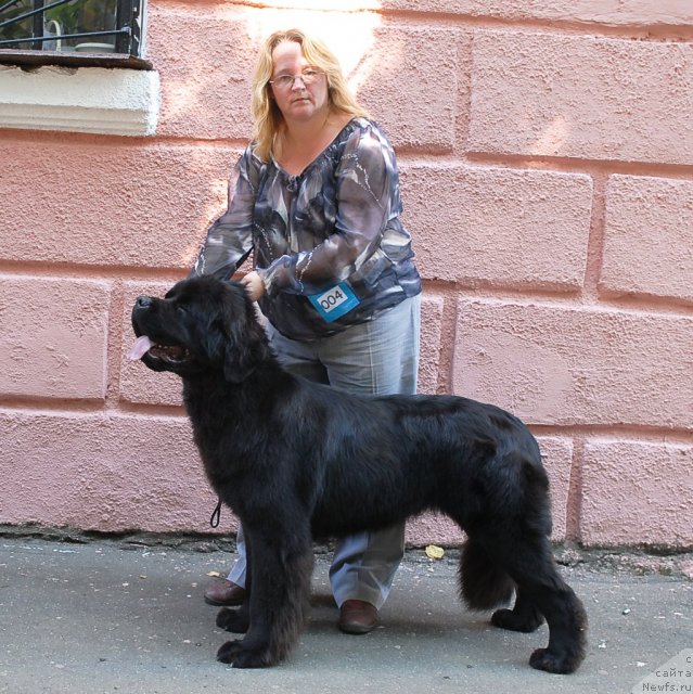 Фотография № 51344