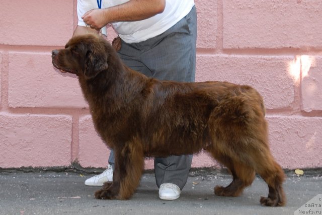 Фотография № 51350