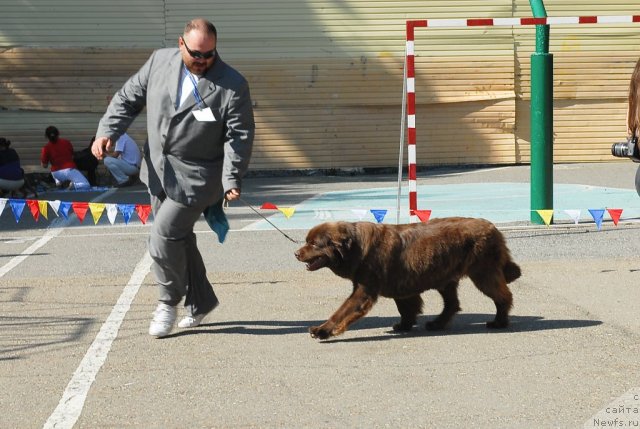 Фотография № 51352