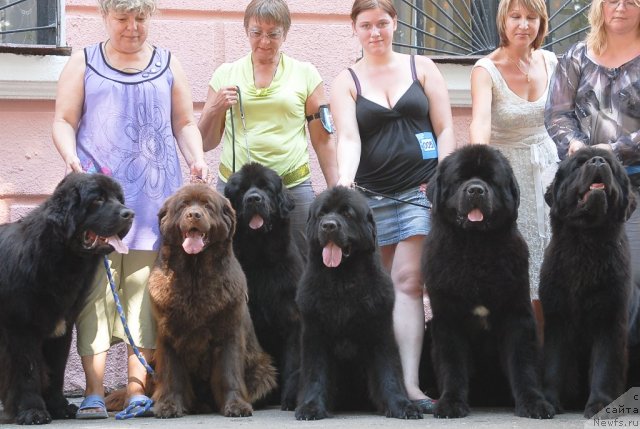 Фотография № 51357