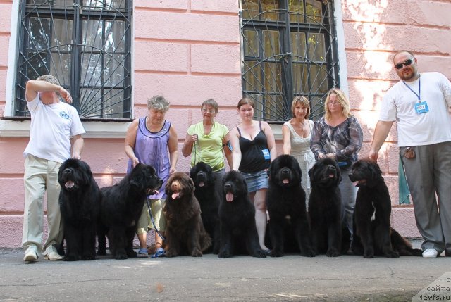 Фотография № 51359