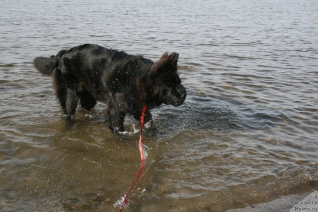 Фотография № 51380