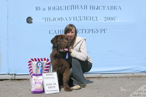 Фото: ньюфаундленд Меридиан Счастья